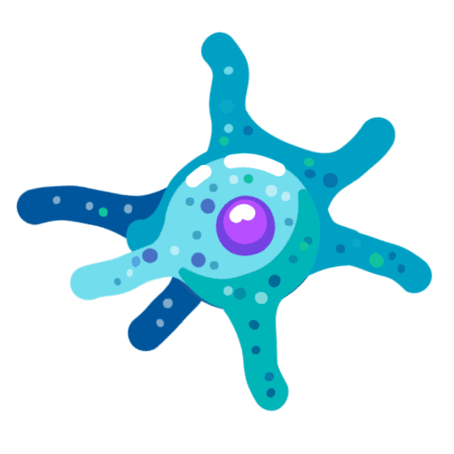 Animated amoeba illustration (fallback)