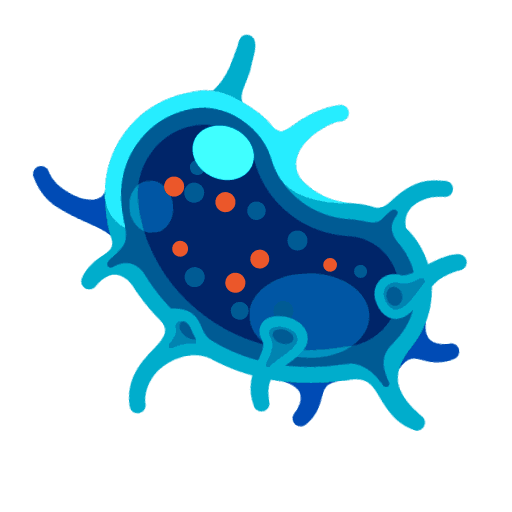 Animated bacteria illustration (fallback)